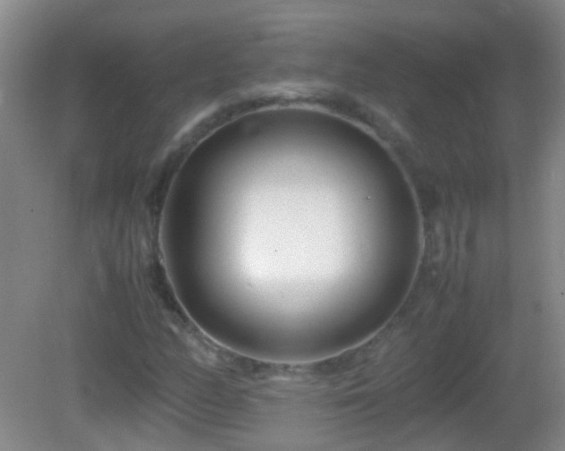 X0000083031158200702021118