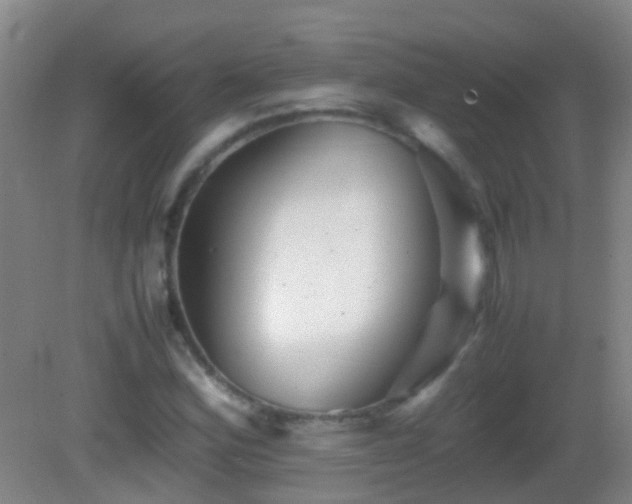 X0000083031164200702021118
