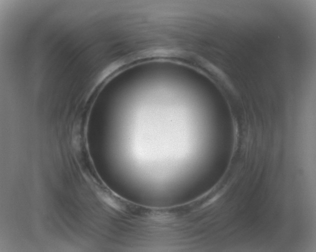 X0000083031170200702021118