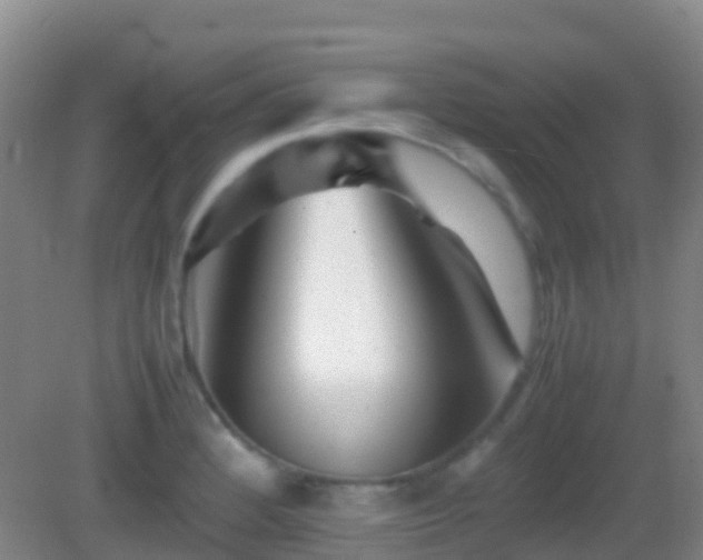 X0000083031184200702021118