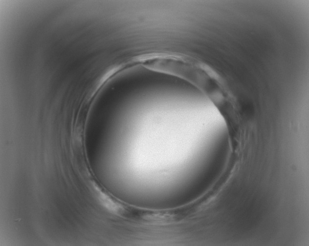 X0000083031185200702021118