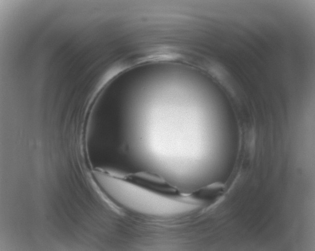 X0000083031186200702021118