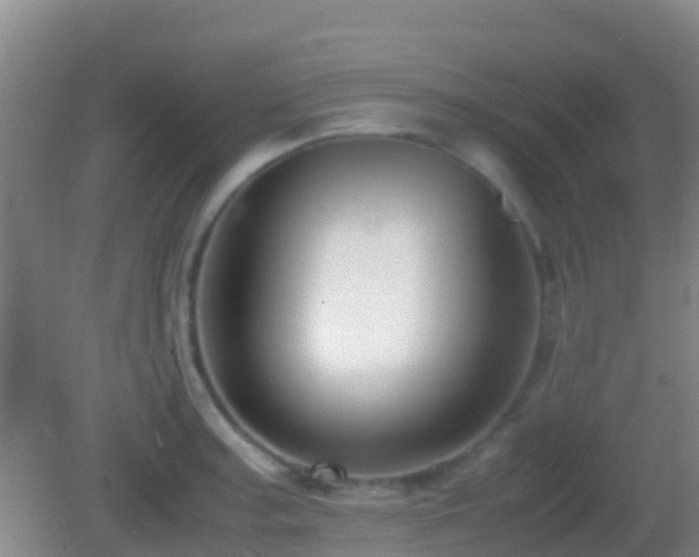 X0000083031187200702021118