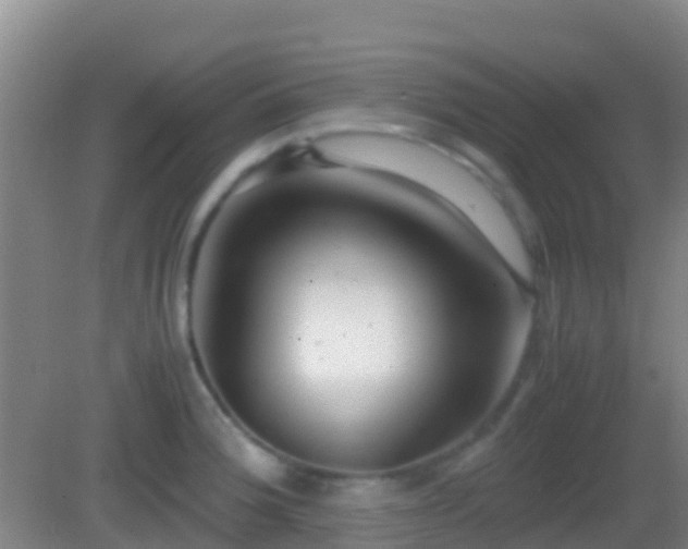 X0000083031188200702021118