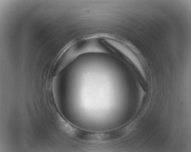X0000083031193200702021118