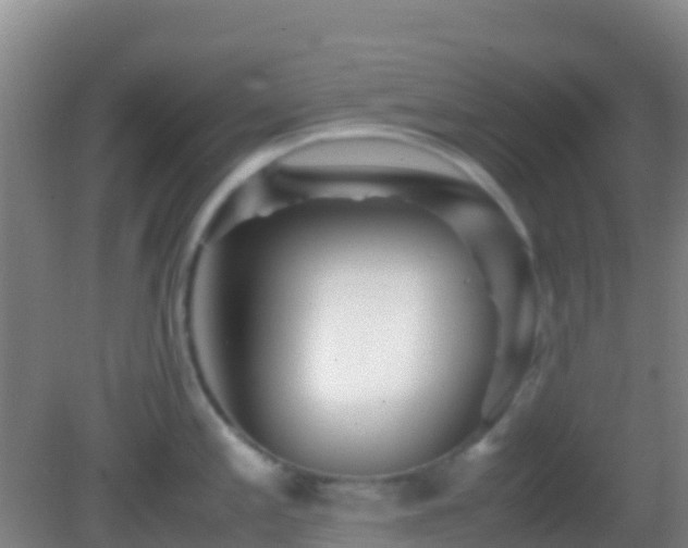X0000083031197200702021118
