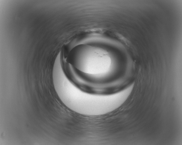X0000083031202200702021117