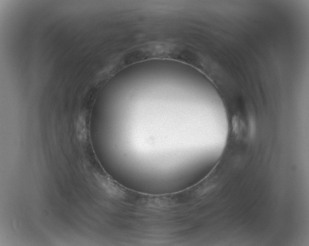 X0000083031203200702021117