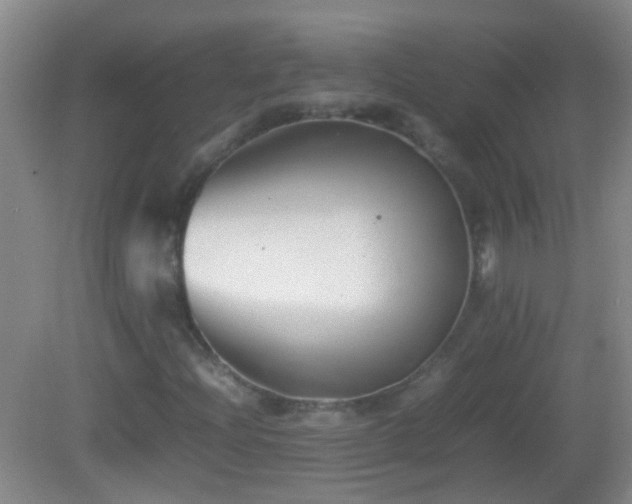 X0000083031204200702021117
