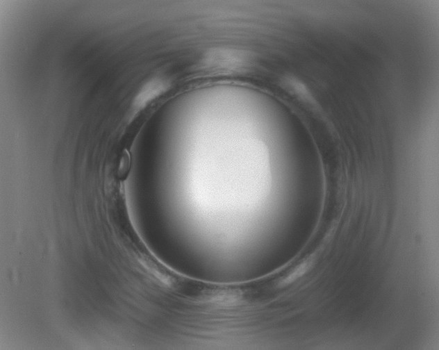 X0000083031210200702021117