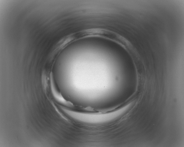 X0000083031225200702021117
