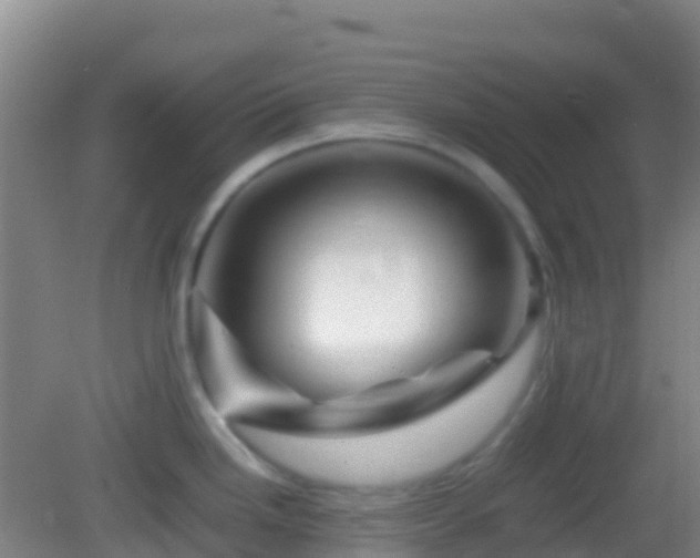 X0000083031246200702021118