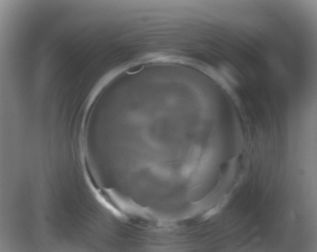 X0000083031247200702021118
