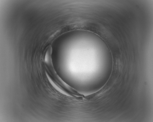 X0000083031250200702021117