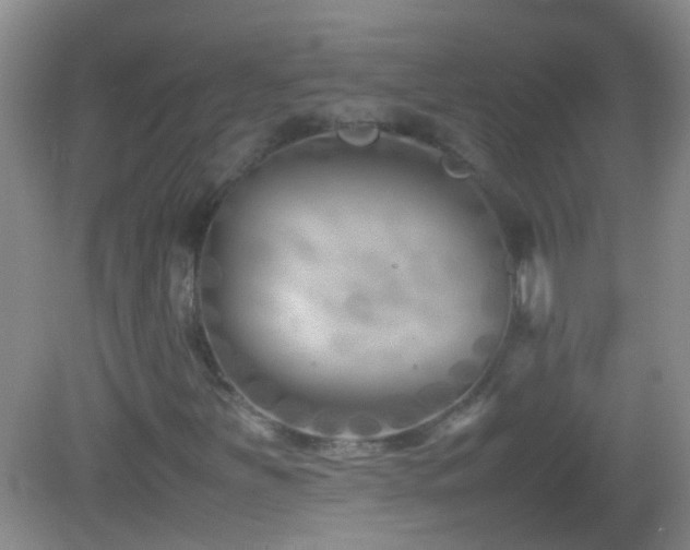 X0000083031251200702021117