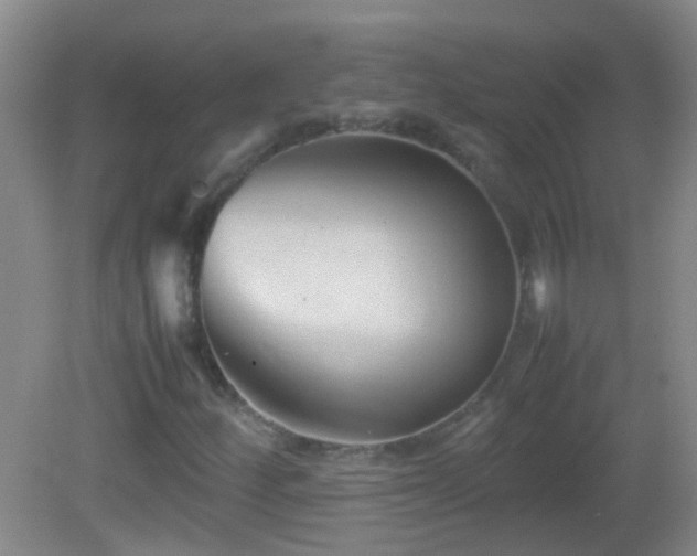 X0000083031252200702021117