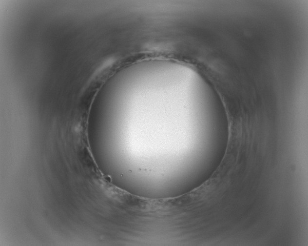 X0000083031254200702021117