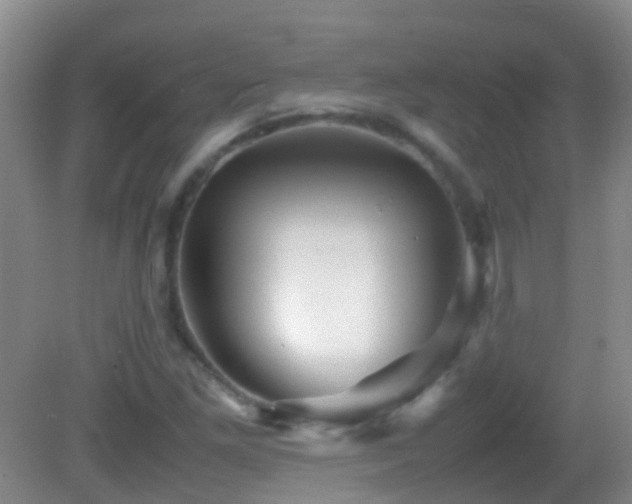 X0000083031261200702021117