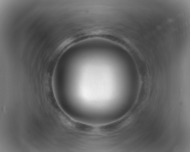 X0000083031265200702021117