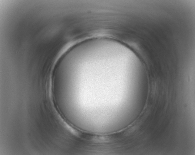 X0000083031286200702021116