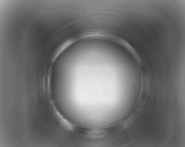 X0000083031290200702021116