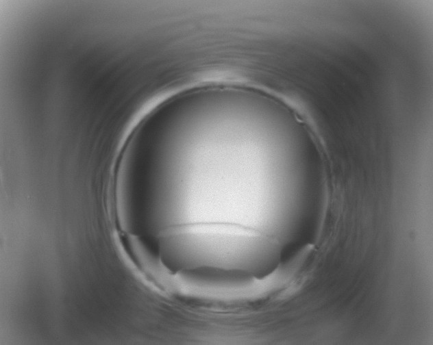 X0000083031295200702021116