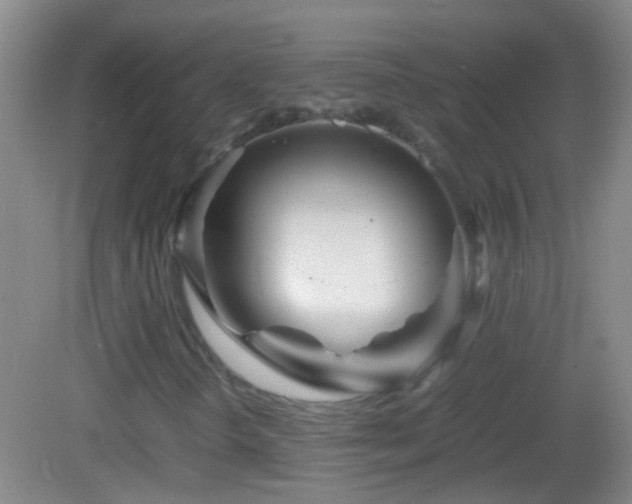 X0000083031298200702021115