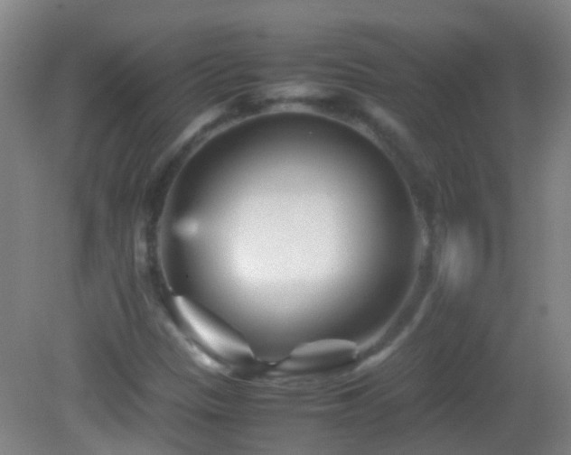 X0000083031305200702021115