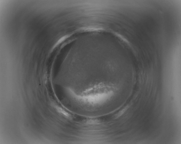 X0000083031306200702021115