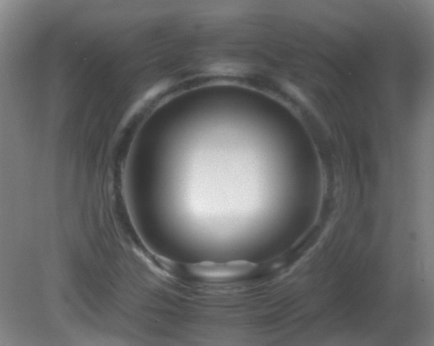 X0000083031307200702021115
