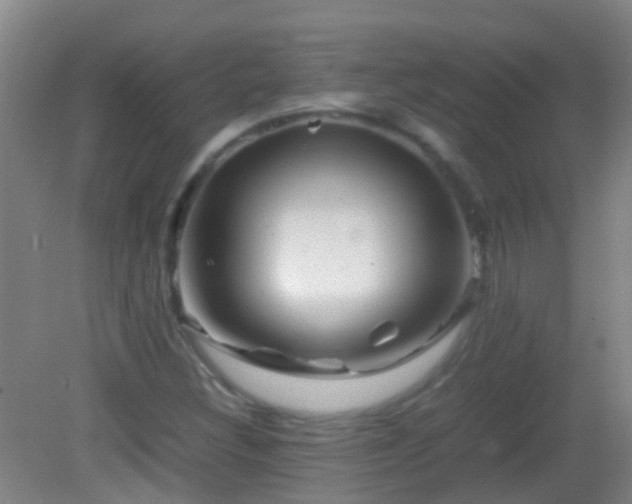 X0000083031308200702021115