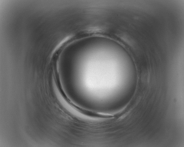 X0000083031309200702021115