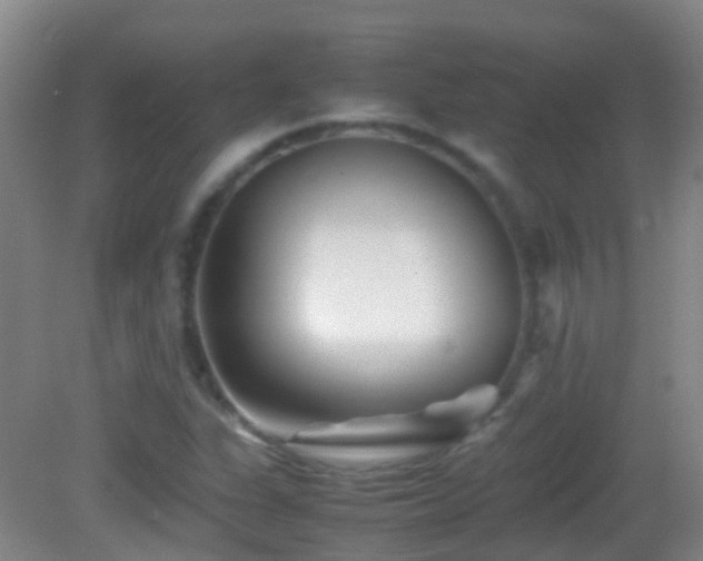X0000083031311200702021115