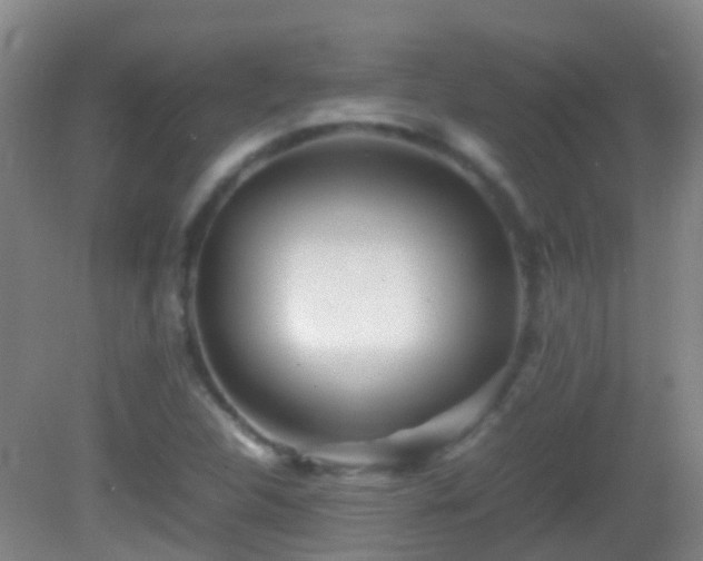 X0000083031312200702021115