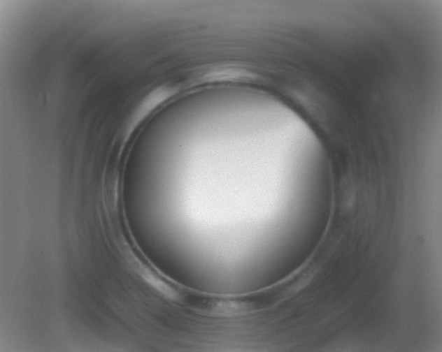 X0000083031322200702021116