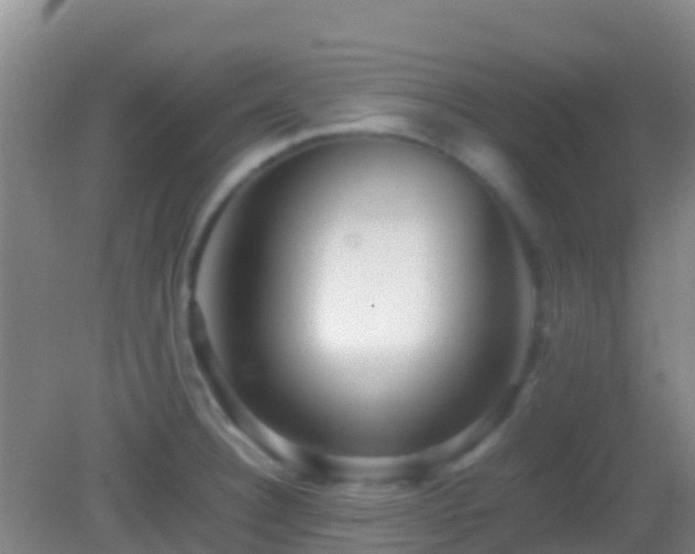 X0000083031332200702021116
