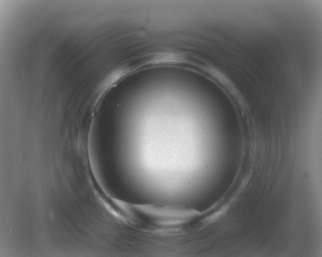 X0000083031337200702021116