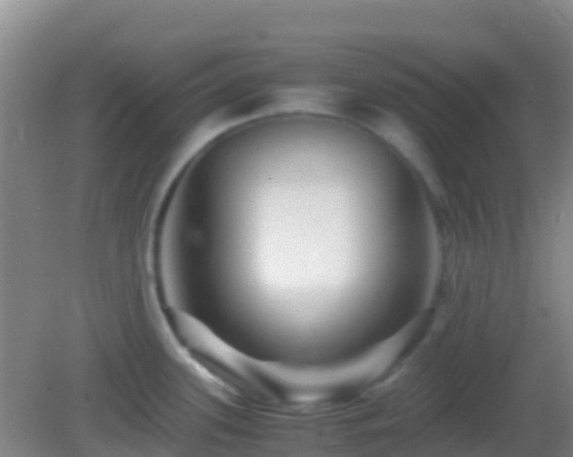 X0000083031339200702021116
