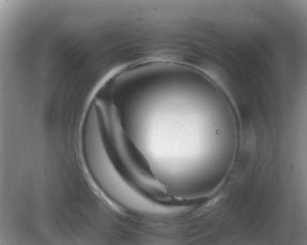 X0000083031341200702021116