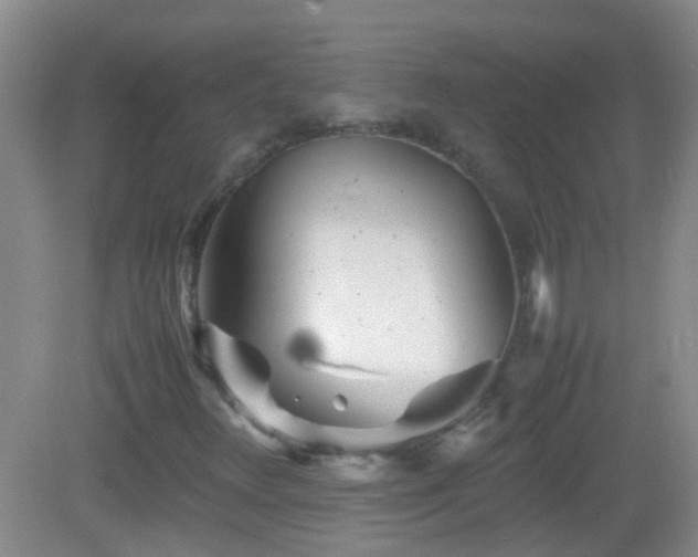 X0000083031348200702021115