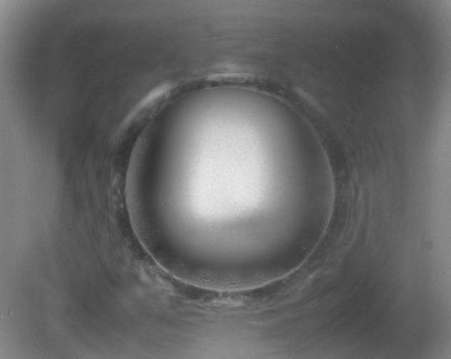X0000083031351200702021115