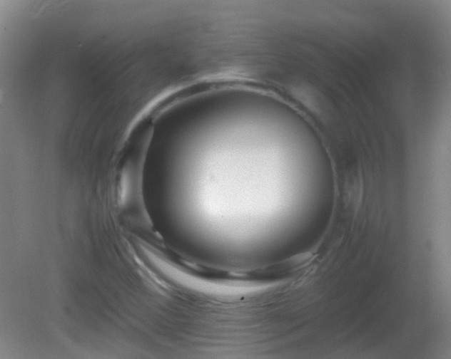 X0000083031356200702021115