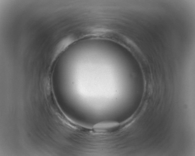 X0000083031362200702021115