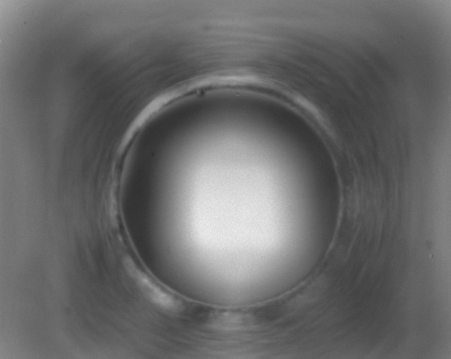 X0000083031374200702021115