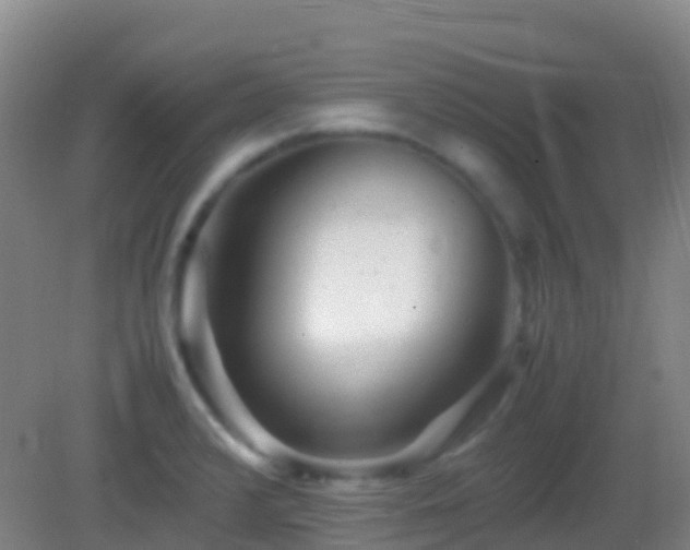 X0000083031376200702021115