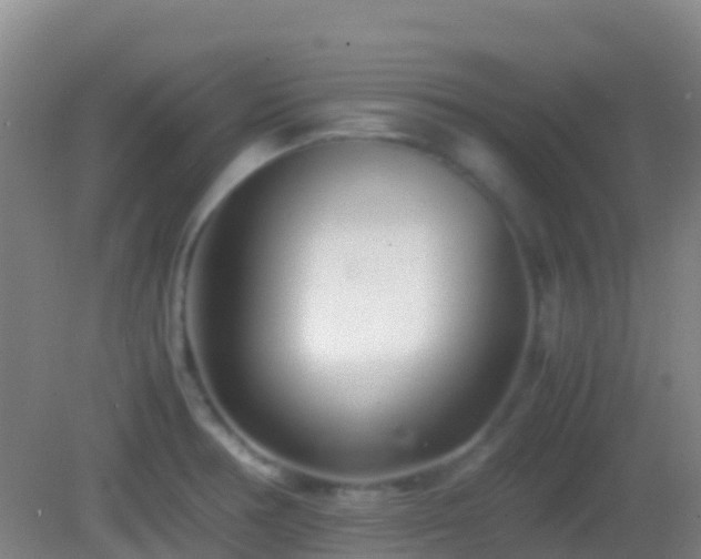 X0000083031378200702021115