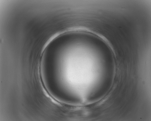 X0000083031390200702021114