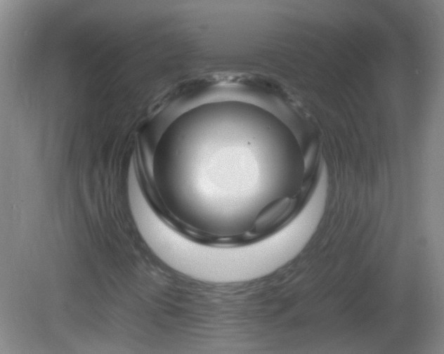 X0000083031394200702021114