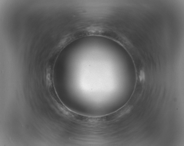 X0000083031396200702021114