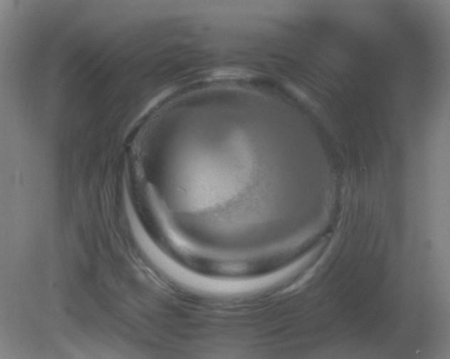 X0000083031401200702021114